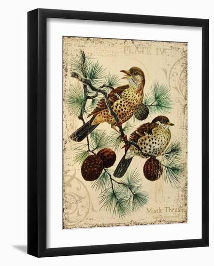 Thrush-Kate Ward Thacker-Framed Giclee Print