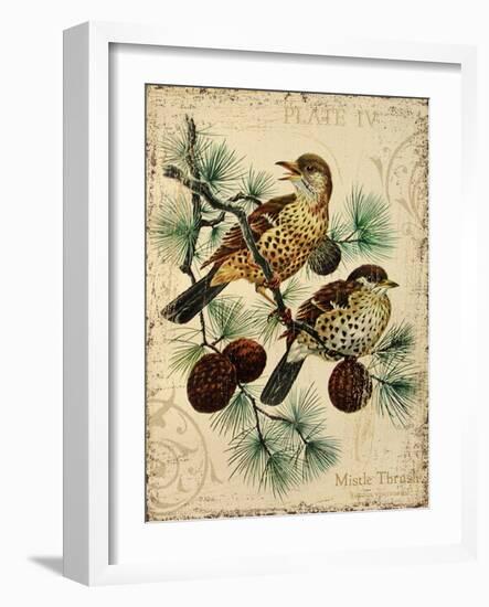 Thrush-Kate Ward Thacker-Framed Giclee Print