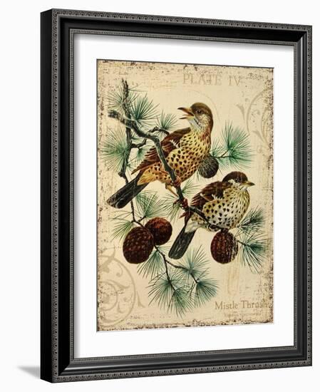 Thrush-Kate Ward Thacker-Framed Giclee Print