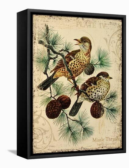 Thrush-Kate Ward Thacker-Framed Premier Image Canvas