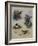 Thrushes-Archibald Thorburn-Framed Giclee Print