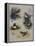 Thrushes-Archibald Thorburn-Framed Premier Image Canvas