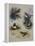 Thrushes-Archibald Thorburn-Framed Premier Image Canvas