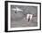 Thrust-Vectoring F-15 and Chase Plane in Flight-Jim Ross-Framed Photographic Print