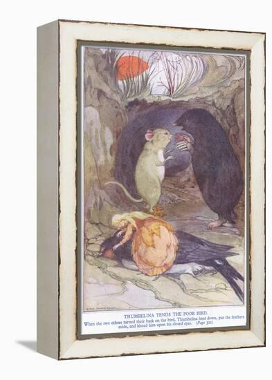 Thumbelina Tends the Poor Bird-Anne Anderson-Framed Premier Image Canvas