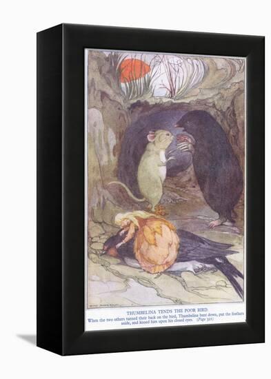 Thumbelina Tends the Poor Bird-Anne Anderson-Framed Premier Image Canvas