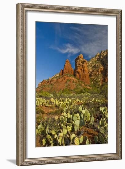 Thunder Mountain Trail, Sedona, Arizona, Usa-Michel Hersen-Framed Photographic Print