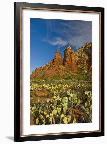 Thunder Mountain Trail, Sedona, Arizona, Usa-Michel Hersen-Framed Photographic Print