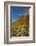 Thunder Mountain Trail, Sedona, Arizona, Usa-Michel Hersen-Framed Photographic Print