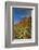 Thunder Mountain Trail, Sedona, Arizona, Usa-Michel Hersen-Framed Photographic Print