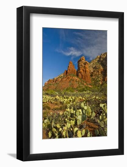 Thunder Mountain Trail, Sedona, Arizona, Usa-Michel Hersen-Framed Photographic Print