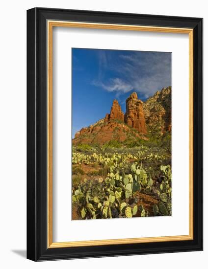 Thunder Mountain Trail, Sedona, Arizona, Usa-Michel Hersen-Framed Photographic Print