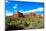 Thunder Mountains - Sedona - Arizona - United States-Philippe Hugonnard-Mounted Photographic Print