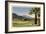 Thunderbird County Club, Palm Springs-null-Framed Art Print