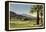 Thunderbird County Club, Palm Springs-null-Framed Stretched Canvas