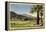 Thunderbird County Club, Palm Springs-null-Framed Stretched Canvas