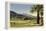 Thunderbird County Club, Palm Springs-null-Framed Stretched Canvas