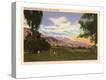 Stretched Canvas Print