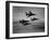 Thunderbirds in F-100's Flying in Formation-Ralph Crane-Framed Photographic Print