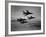 Thunderbirds in F-100's Flying in Formation-Ralph Crane-Framed Photographic Print