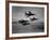 Thunderbirds in F-100's Flying in Formation-Ralph Crane-Framed Photographic Print