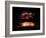 Thunderstorm At Night Near Tucson-Keith Kent-Framed Photographic Print