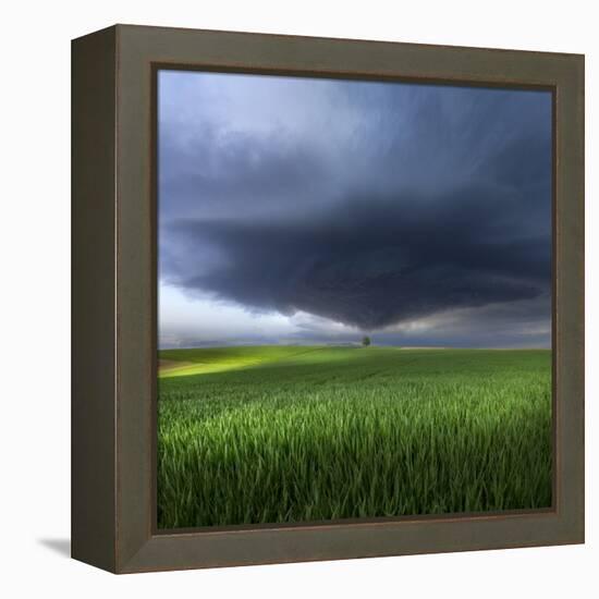 Thunderstorm Cell Over the Alb Plateau-Franz Schumacher-Framed Premier Image Canvas