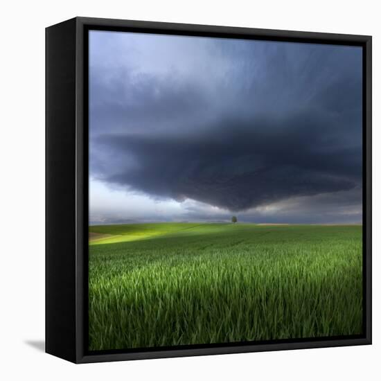 Thunderstorm Cell Over the Alb Plateau-Franz Schumacher-Framed Premier Image Canvas