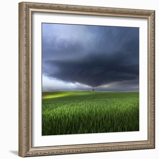 Thunderstorm Cell Over the Alb Plateau-Franz Schumacher-Framed Photographic Print