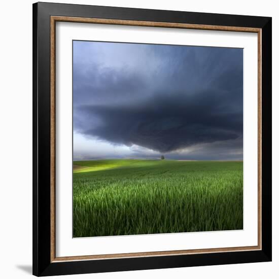 Thunderstorm Cell Over the Alb Plateau-Franz Schumacher-Framed Photographic Print