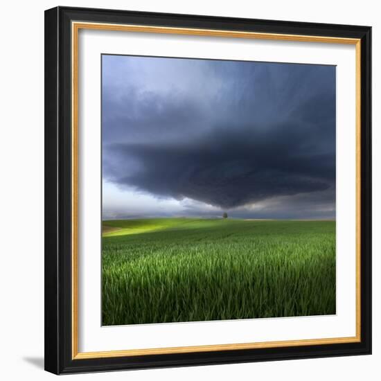 Thunderstorm Cell Over the Alb Plateau-Franz Schumacher-Framed Photographic Print