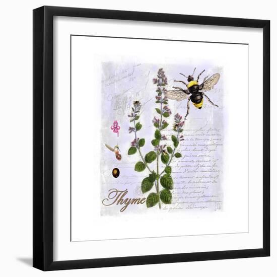 Thyme Herb-Tina Lavoie-Framed Giclee Print