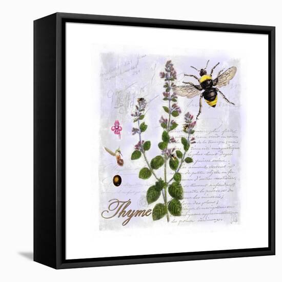 Thyme Herb-Tina Lavoie-Framed Premier Image Canvas