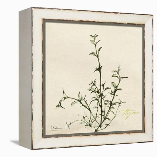 Thyme Moment-Albert Koetsier-Framed Stretched Canvas