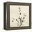 Thyme Moment-Albert Koetsier-Framed Stretched Canvas