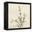 Thyme Moment-Albert Koetsier-Framed Stretched Canvas