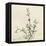 Thyme Moment-Albert Koetsier-Framed Stretched Canvas