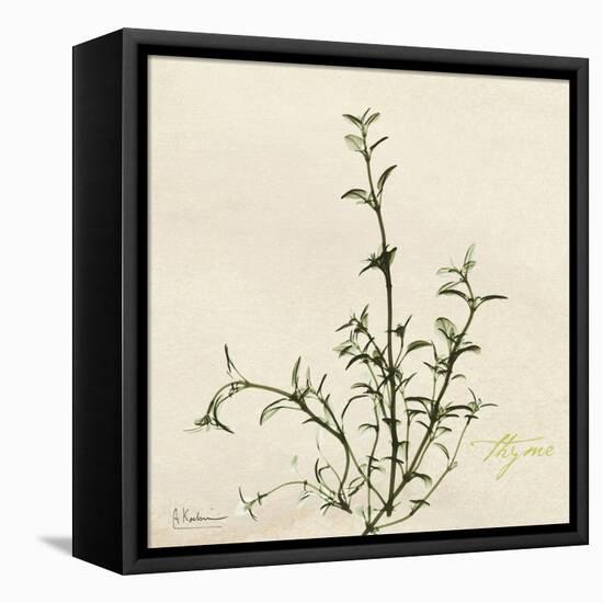 Thyme Moment-Albert Koetsier-Framed Stretched Canvas