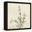 Thyme Moment-Albert Koetsier-Framed Stretched Canvas