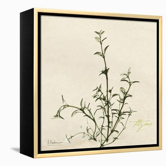 Thyme Moment-Albert Koetsier-Framed Stretched Canvas