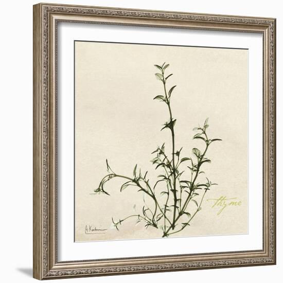 Thyme Moment-Albert Koetsier-Framed Premium Giclee Print