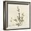 Thyme Moment-Albert Koetsier-Framed Premium Giclee Print