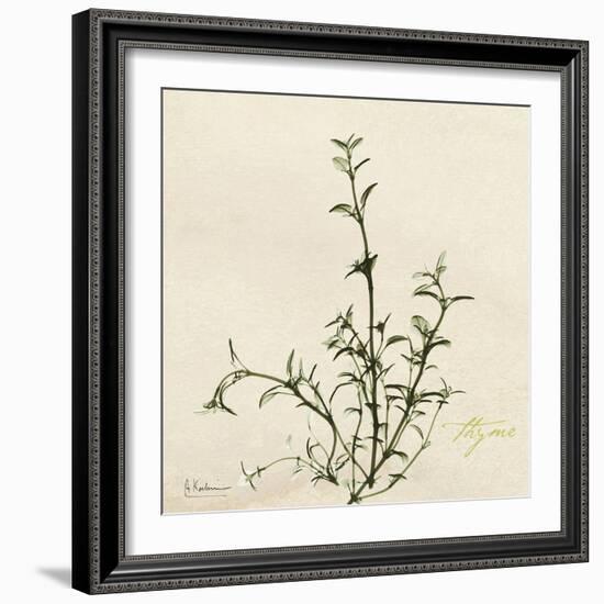 Thyme Moment-Albert Koetsier-Framed Premium Giclee Print