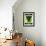 Thyme Seed Packet-Lantern Press-Framed Art Print displayed on a wall