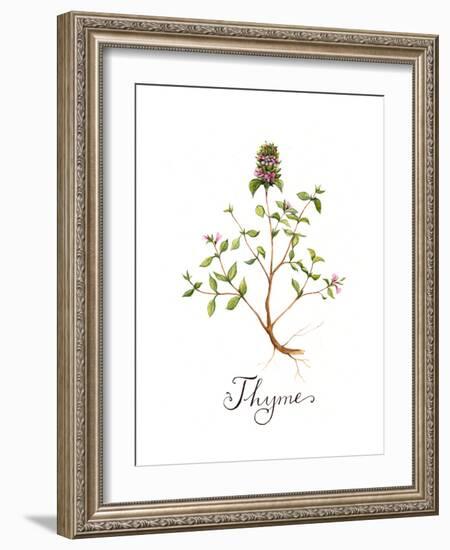 Thyme-Irina Trzaskos Studio-Framed Giclee Print