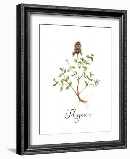 Thyme-Irina Trzaskos Studio-Framed Giclee Print