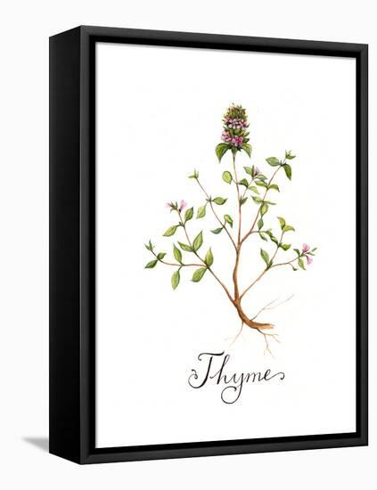 Thyme-Irina Trzaskos Studio-Framed Premier Image Canvas