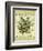 Thyme-Kate Ward Thacker-Framed Giclee Print