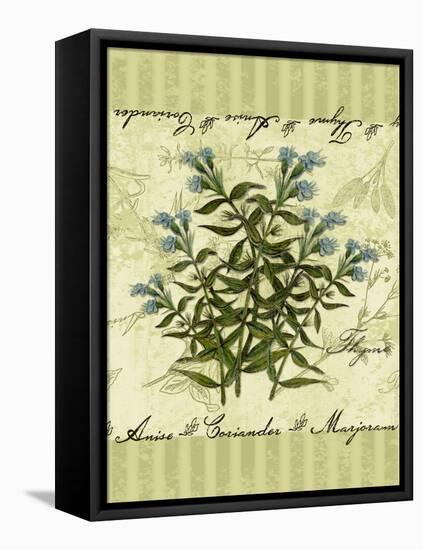 Thyme-Kate Ward Thacker-Framed Premier Image Canvas