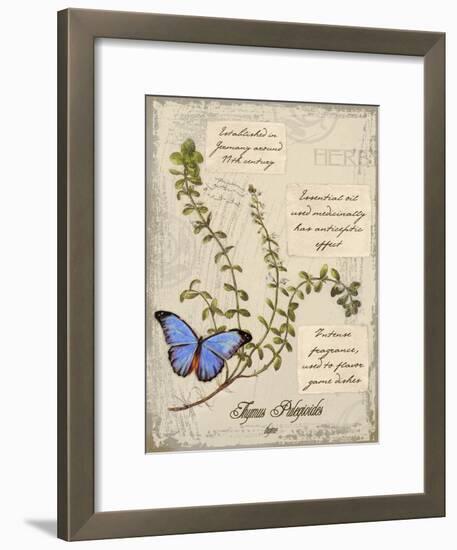 Thyme-Kate Ward Thacker-Framed Giclee Print